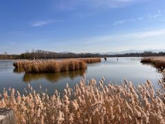 -野鸭湖国家湿地公园