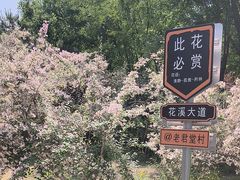 -老君堂公园