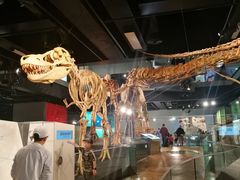 -墨尔本博物馆(Melbourne Museum)