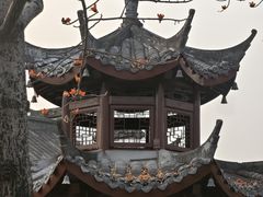 -厦门园林博览苑