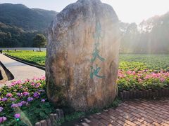 -广州市石门国家森林公园