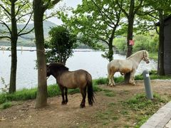 -宁波九龙湖开元度假村