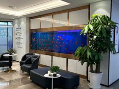 -牙博士口腔品牌连锁(杨浦店)