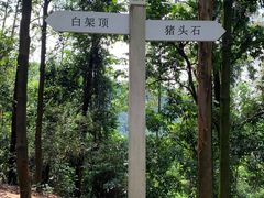 -火炉山森林公园