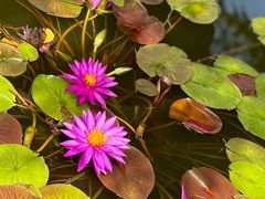 -国家植物园南园