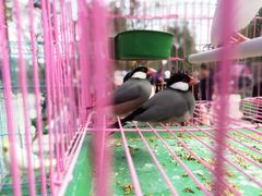 -洛阳马蹄泉旅游度假村