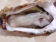 -北方饺子王·海肠捞饭·海鲜锅(山大店)