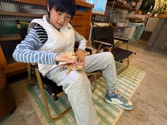 -吉丁鸟咖·异宠·寄养