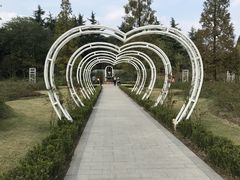 -昆山城市生态森林公园