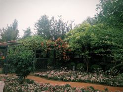 点击看大图 -爱儿美儿童摄影亲子馆(五路居店)
