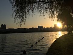 -天鹅湖体育公园