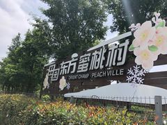 -田园东方蜜桃村的田野营地