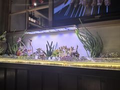 -街角等你.大连海鲜烧烤.经典铁板海鲜串(西安路店)