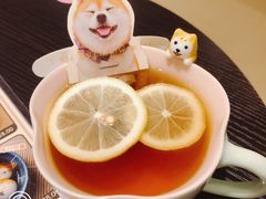 -逗柴咖啡屋·狗咖猫咖宠物桌游
