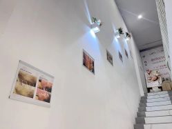 点击看大图 -奈弗里·疗愈SPA·美肤中心