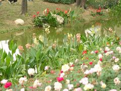 -人民公园(罗湖区)