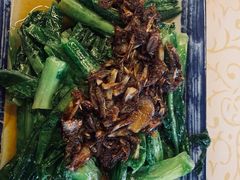 -百利鸽王(紫薇路店)