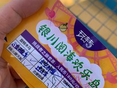 -阅海欢乐岛