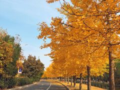 -山东科技大学（青岛校区）-图书馆