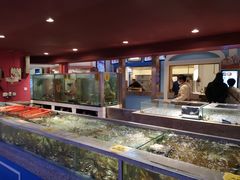 水产区-美食小镇·观赏珍稀鸟类·长隆熊猫酒店