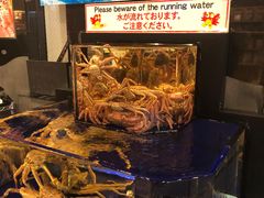 -蟹道乐(道顿堀本店)