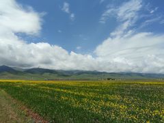 -青海湖国家重点风景名胜区