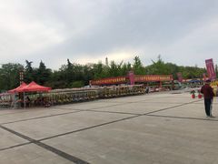 -曹州牡丹园