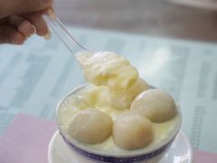 双皮奶汤圆-阿三麻蓉汤圆(顺光大厦店)