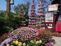 -岳麓山风景名胜区