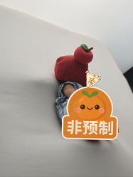 -玛瑞莎孕婴童摄影到家拍