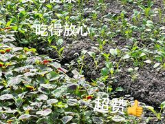 -小乡小镇·传承桐庐土菜·老板亲自烧的菜