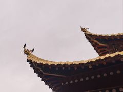 -四川郎木寺镇