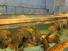 水产区-大天然酒店(军民路店)