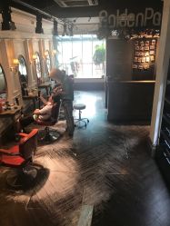 点击看大图 -金棕榈