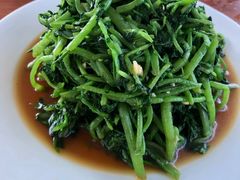 拌泉水菜-俺家菜馆(百里峡店)