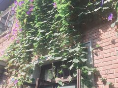 -豪客来牛排(新街口羊皮巷店)