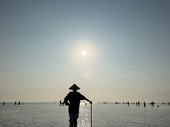 -红树林天天赶海