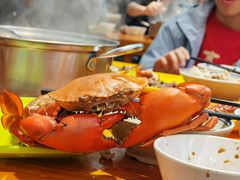 -养牛邓·潮汕牛肉海鲜自助火锅(广州店)