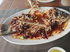 -微山岛春天里酒家