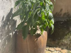-丝绸小镇荻港古村