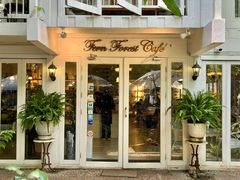 -Fern Forest Cafe