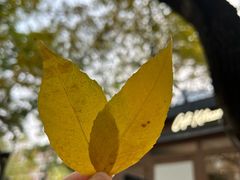 -三里屯太古里