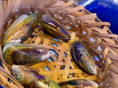 -千岛蚝高压锅生蚝·人参火锅(白云万达店)