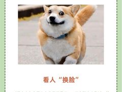 -派联宠物医院·24h·CT·异宠