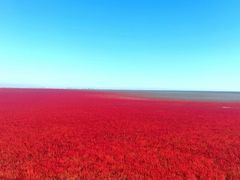 -红海滩国家风景廊道