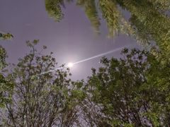 -东升八家郊野公园