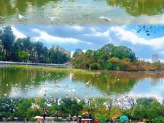 -翠湖公园