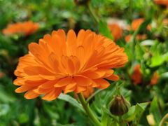 -合肥滨湖国家森林公园