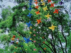 -上海共青森林公园