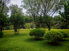 -云溪植物园